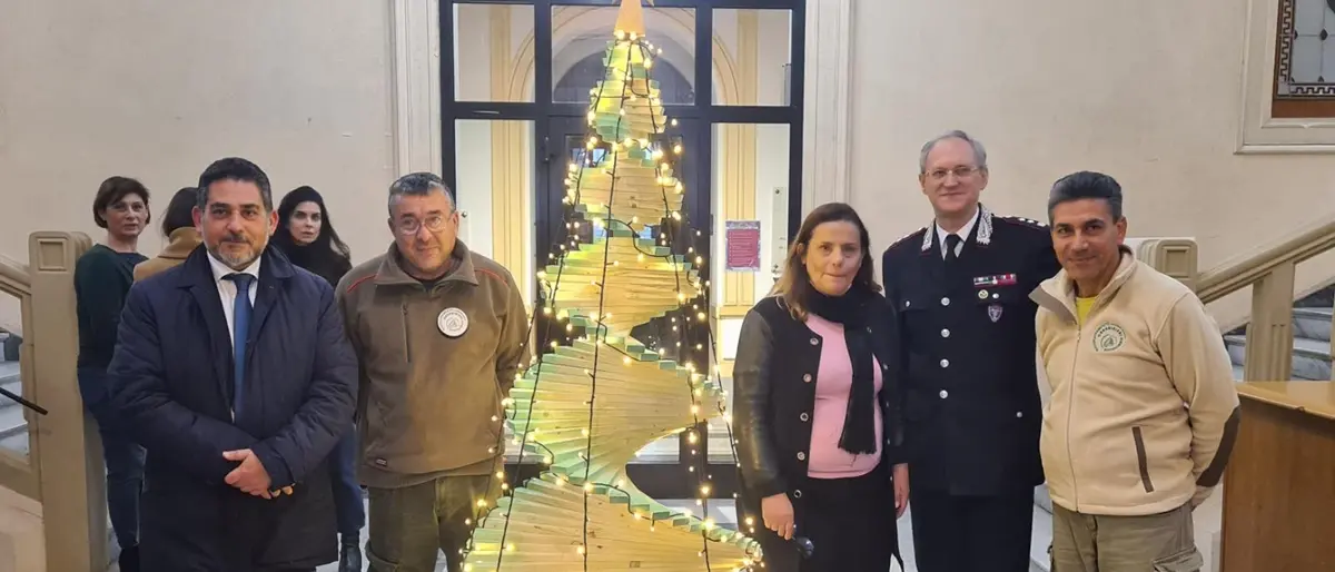 Comune di Reggio, un albero di Natale in dono dai carabinieri forestali