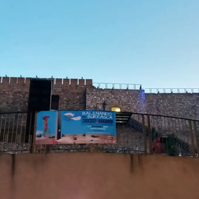 Balenando in Burrasca a Reggio, a novembe il reading festival - FOTO