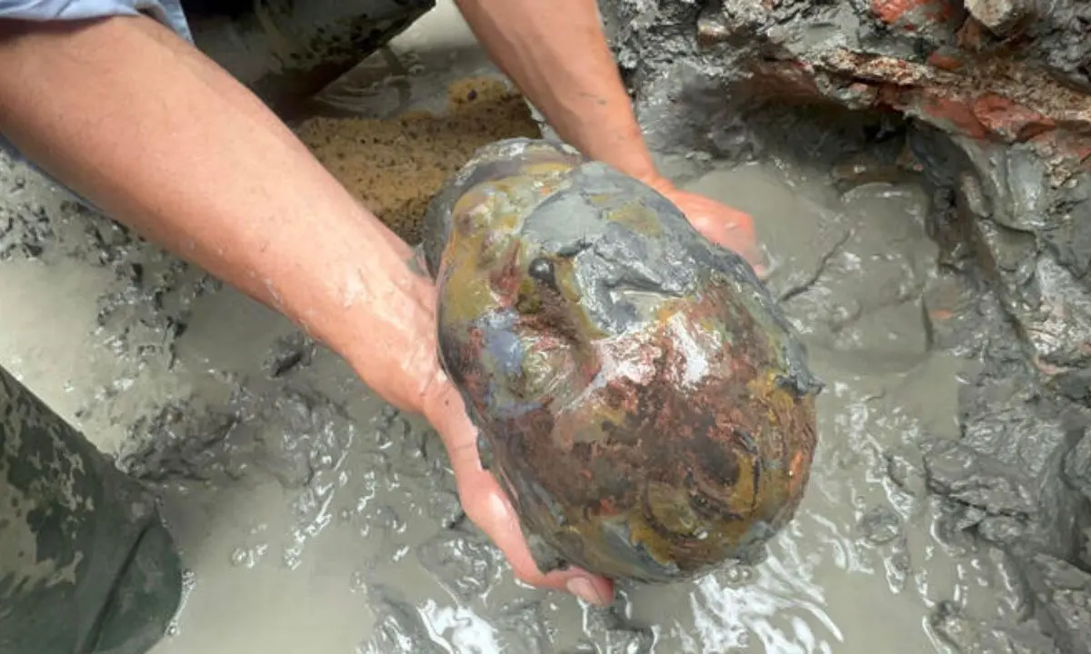Trovate in Toscana 24 statue di 2.300 anni fa, la scoperta più importante dai Bronzi