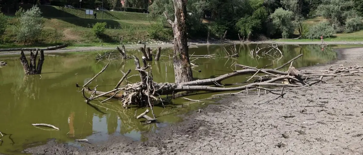 Emergenza Siccità, acquedotti e sorgenti producono meno acqua: da Melito a Reggio -50%