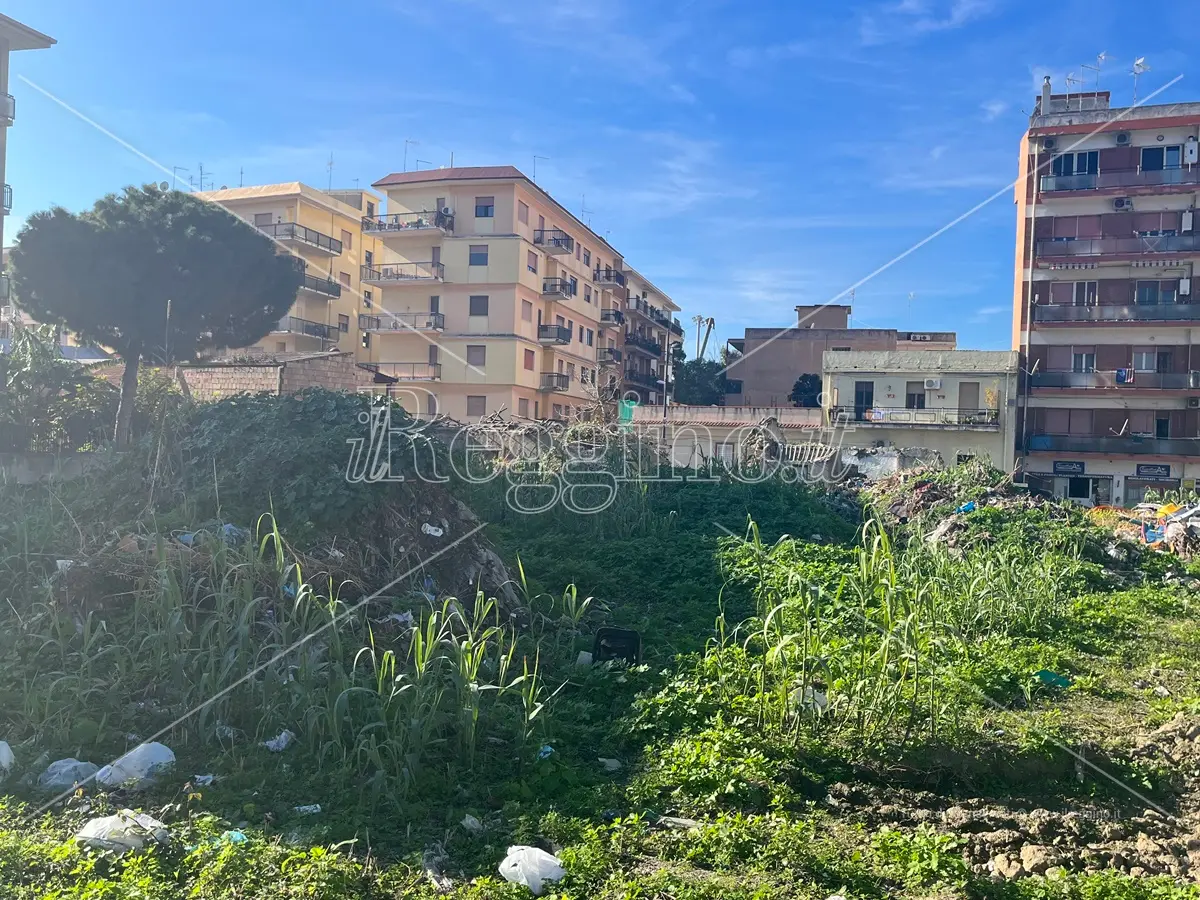 Reggio, nell'area degli orti urbani non ci sono rifiuti pericolosi - FOTO