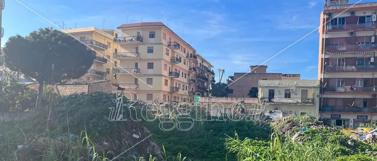 Reggio, nell'area degli orti urbani non ci sono rifiuti pericolosi - FOTO
