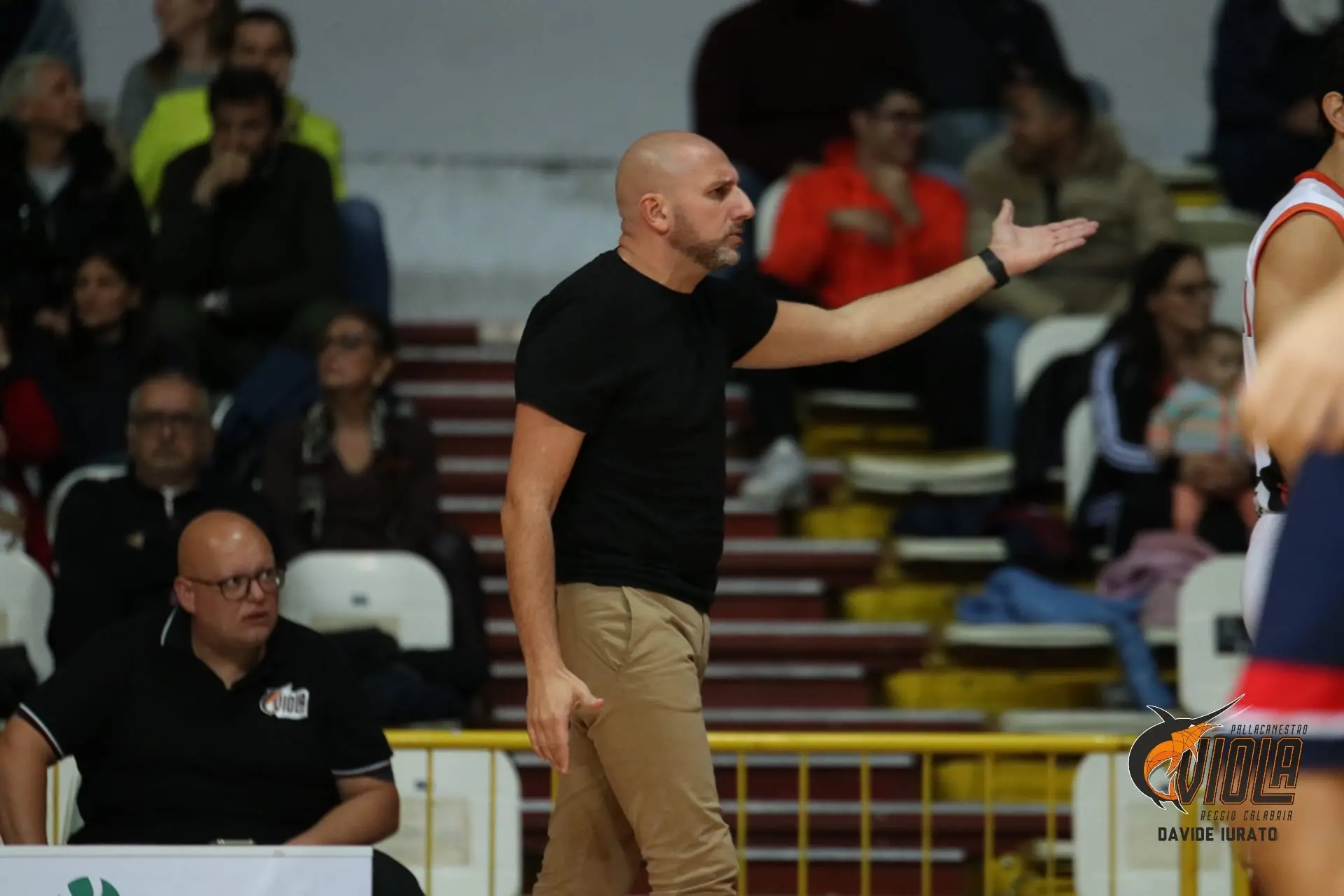 Viola Basket in trasferta a Mestre, sul mercato si cerca un rimpiazzo di Renzi