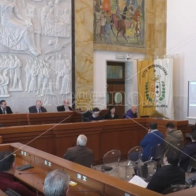 Acqua, i Comuni reggini fanno quadrato: Versace tratterà con la Regione - VIDEO