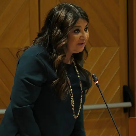 Straface attacca Tridico: «Vedrà futuro Calabria in videocall da Bruxelles»