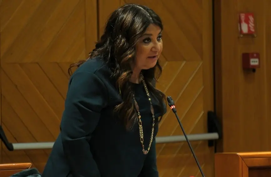 Commissione Sanità, Straface eletta presidente: «Ora programmazione di lungo periodo»
