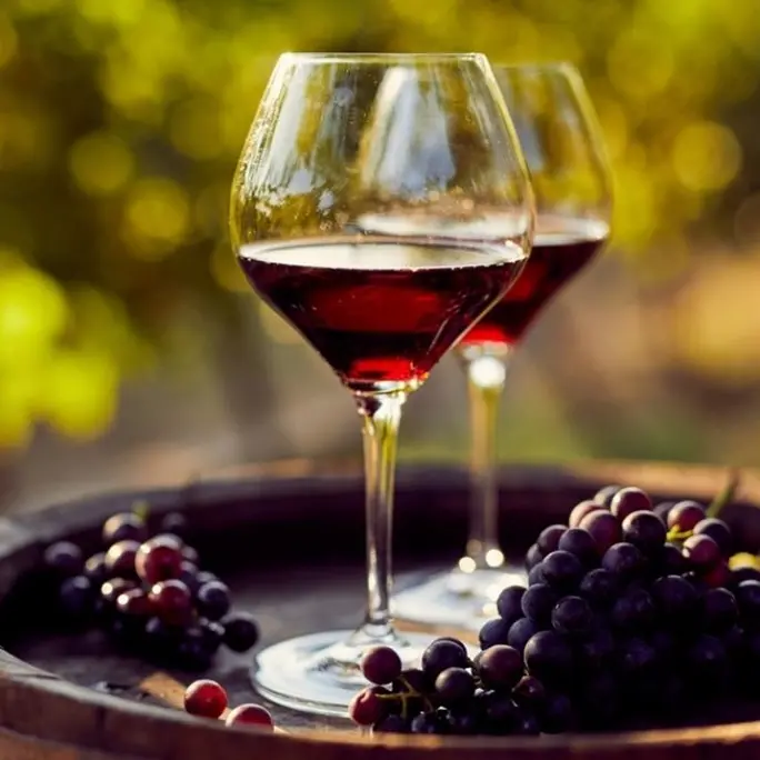 Regione, Gallo: «Oltre 1 mln e 300mila euro per incentivare la produzione di vino»