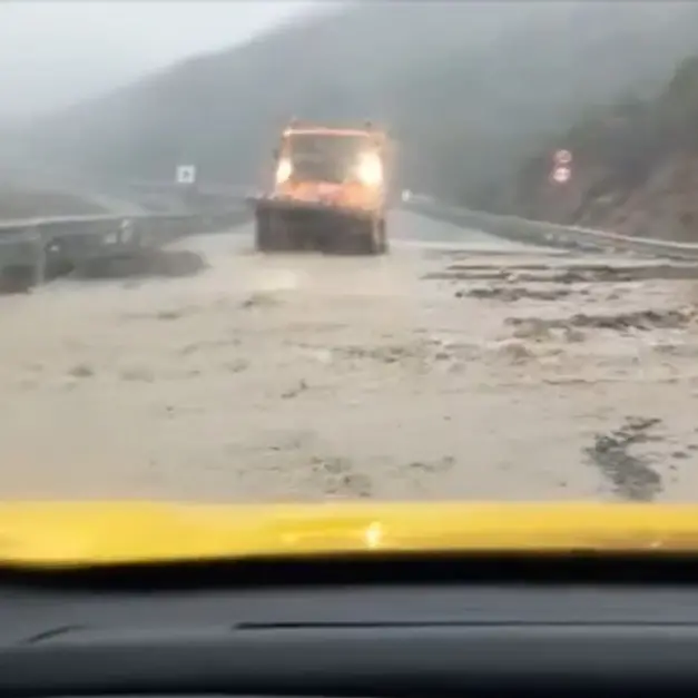 Calabria, esonda torrente e invade la Statale - VIDEO