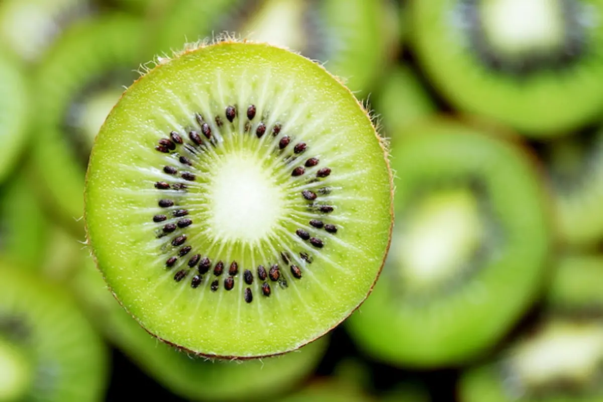 A Rosarno la “Giornata tecnica sul kiwi in Calabria”