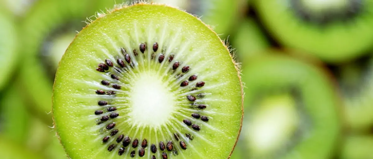 A Rosarno la “Giornata tecnica sul kiwi in Calabria”