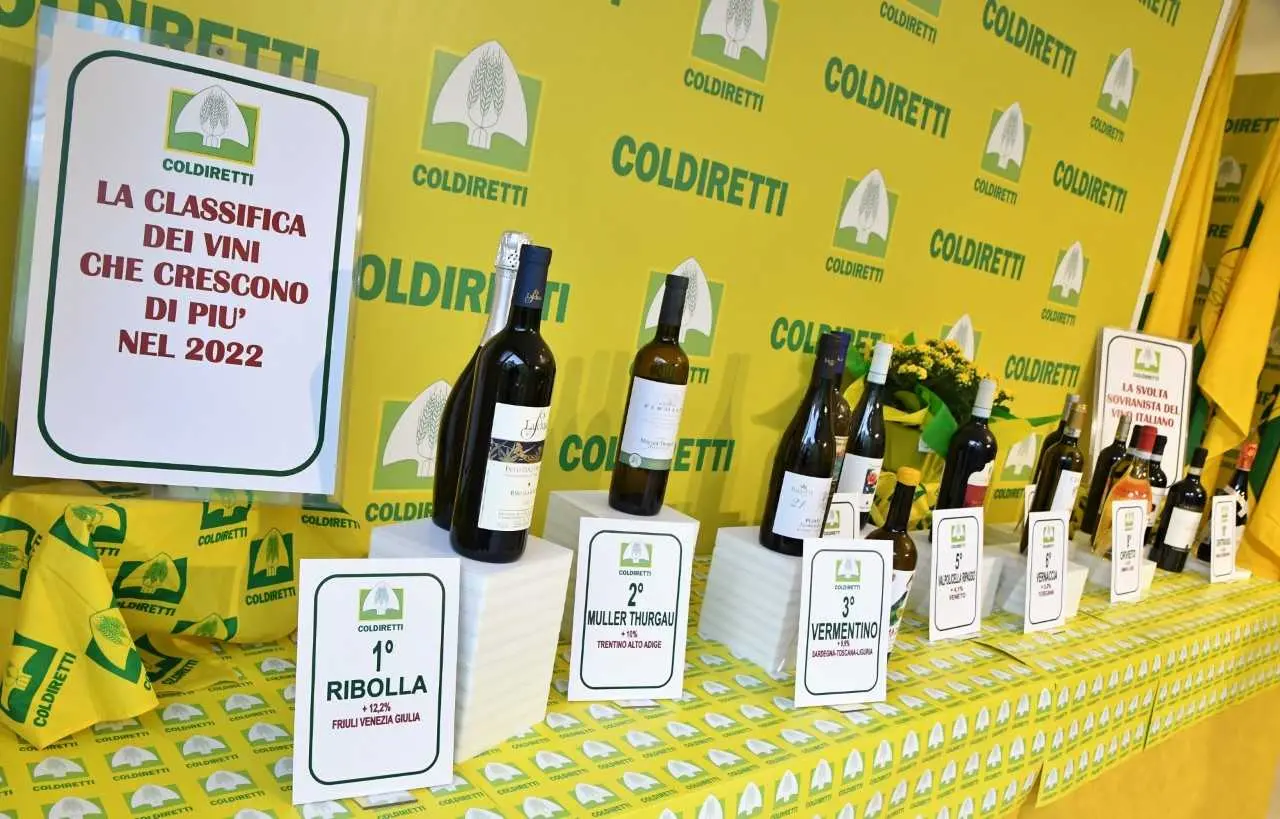 Al Vinitaly, vincono le bottiglie autoctone: il vino Cirò nella top 15