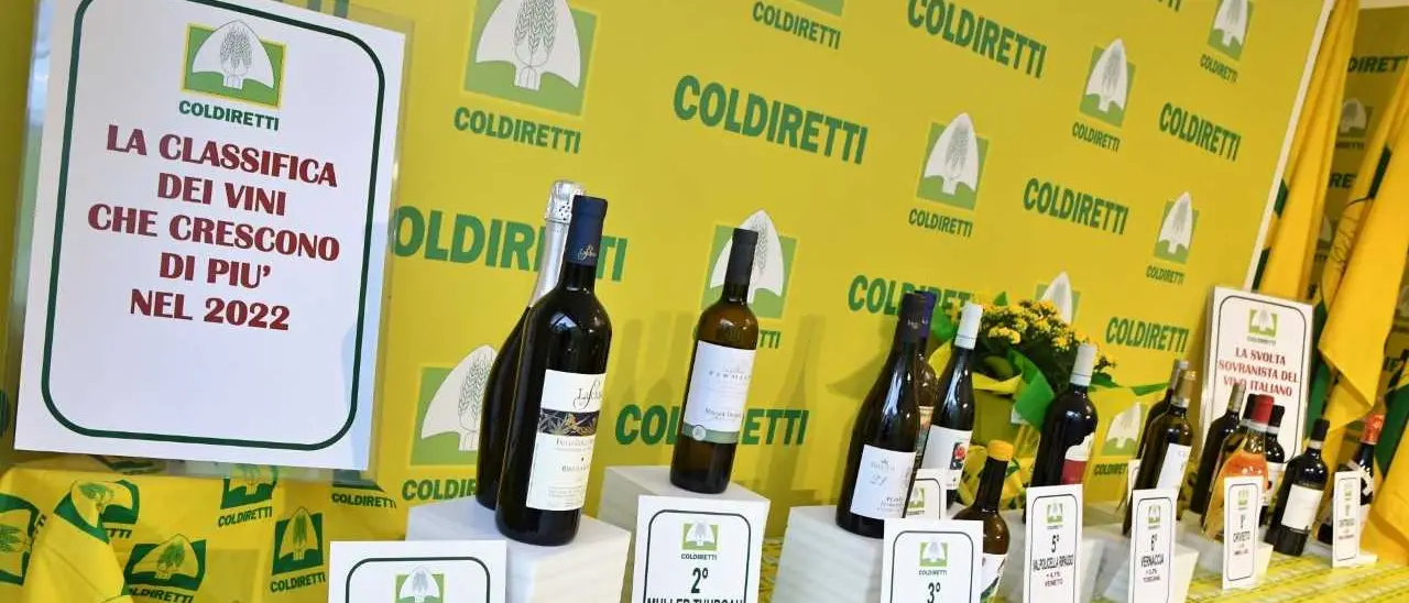 Al Vinitaly, vincono le bottiglie autoctone: il vino Cirò nella top 15