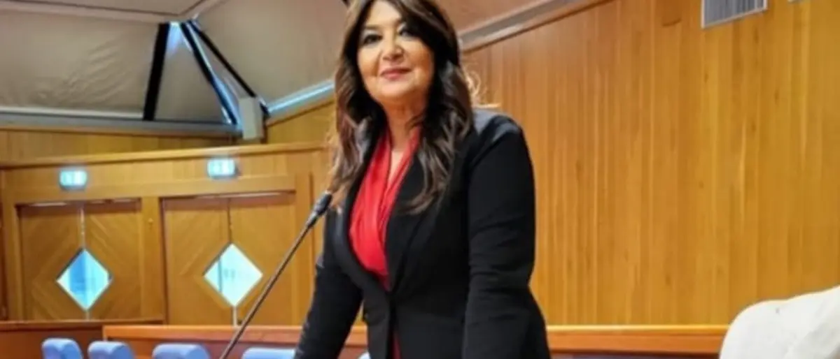 Straface (FI): «Con Tridico la politica calabrese derisa dai media nazionali»