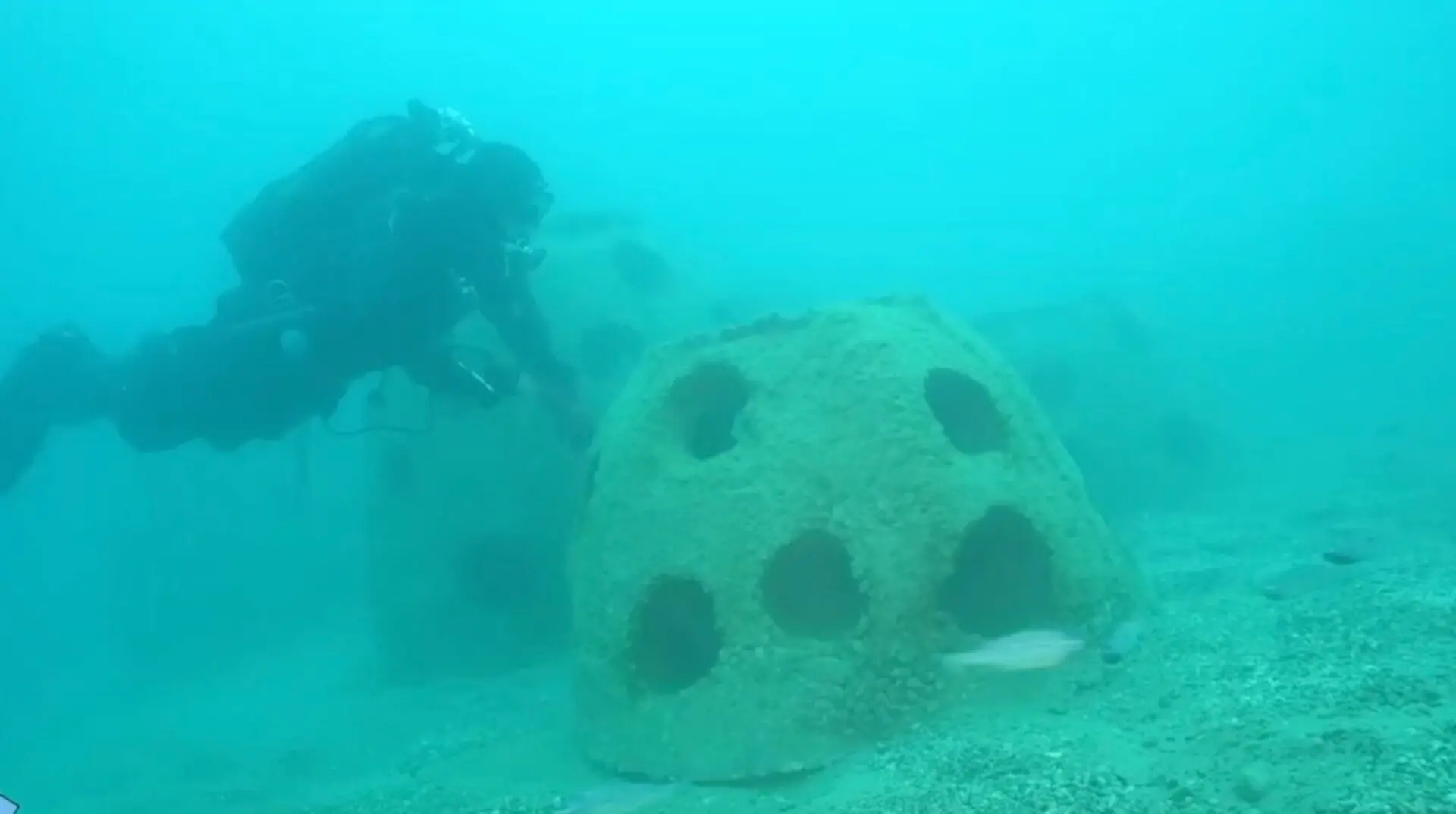 Roccella Jonica e Marina di Gioiosa, con la “blue economy” barriere sommerse per rigenerare la fauna marina