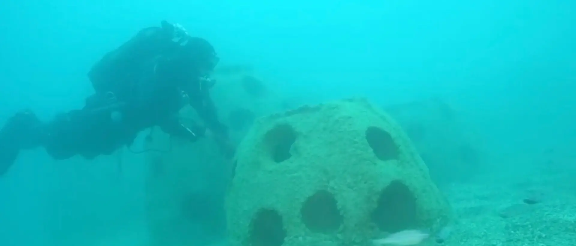 Roccella Jonica e Marina di Gioiosa, con la “blue economy” barriere sommerse per rigenerare la fauna marina