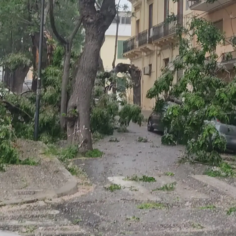 Reggio, ramo finisce su un'auto in via Preti