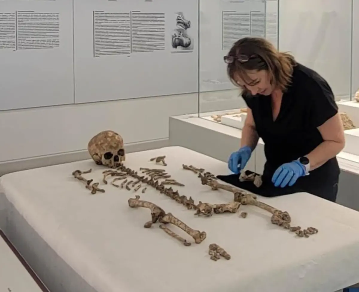 Museo di Reggio, studi internazionali sui resti ossei della grotta del Romito