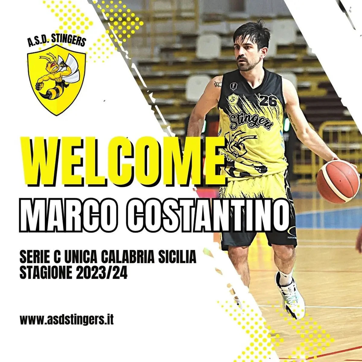 Basket, Marco Costantino perno basilare degli Stingers