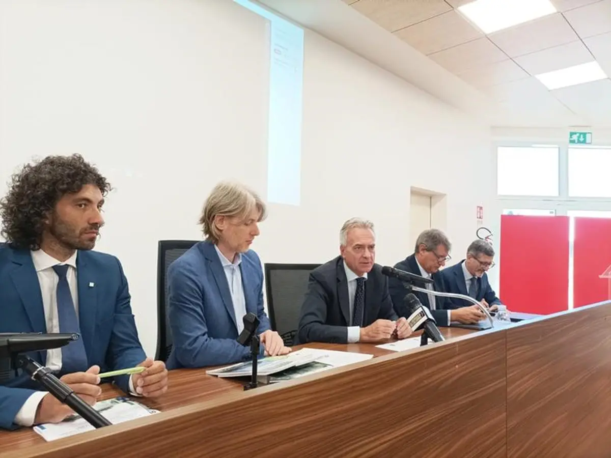 Olivicoltura in Calabria, presentato alla Cittadella regionale il progetto \"Triacol\"