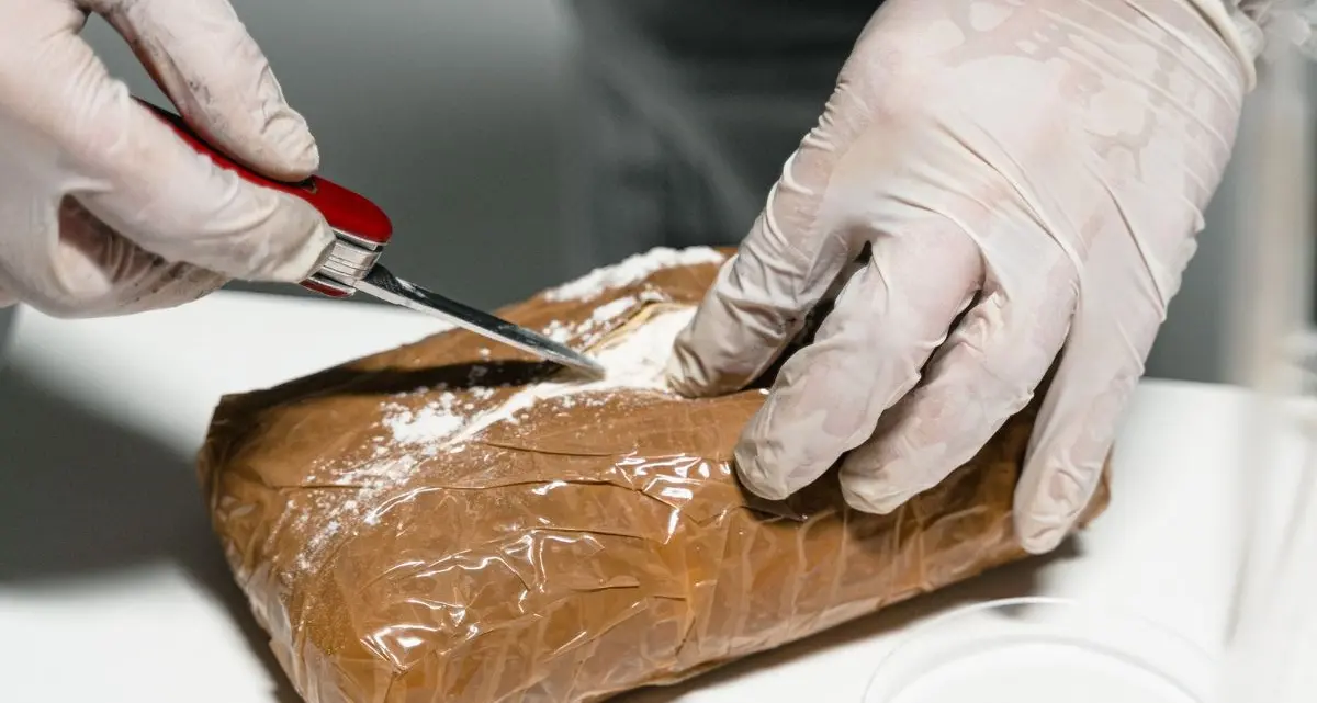 Un chilo di cocaina nel garage: scattano i domiciliari per un uomo di Marano Marchesato\n