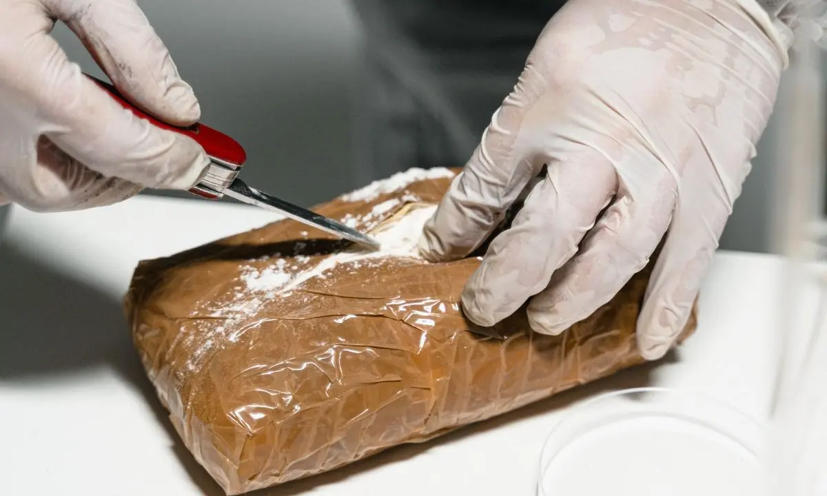 Un chilo di cocaina nel garage: scattano i domiciliari per un uomo di Marano Marchesato\n