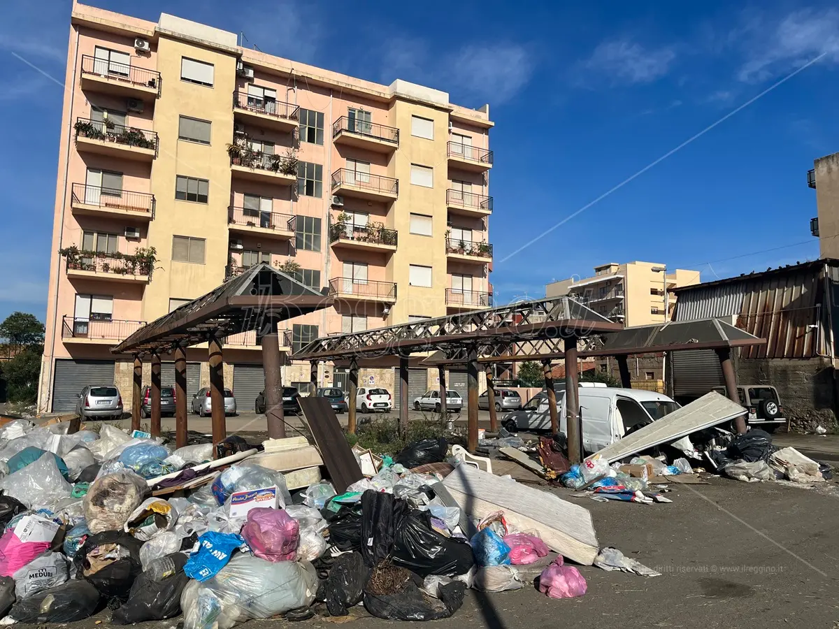 Reggio, rifiuti e degrado al rione Marconi: nessuna tregua - FOTO