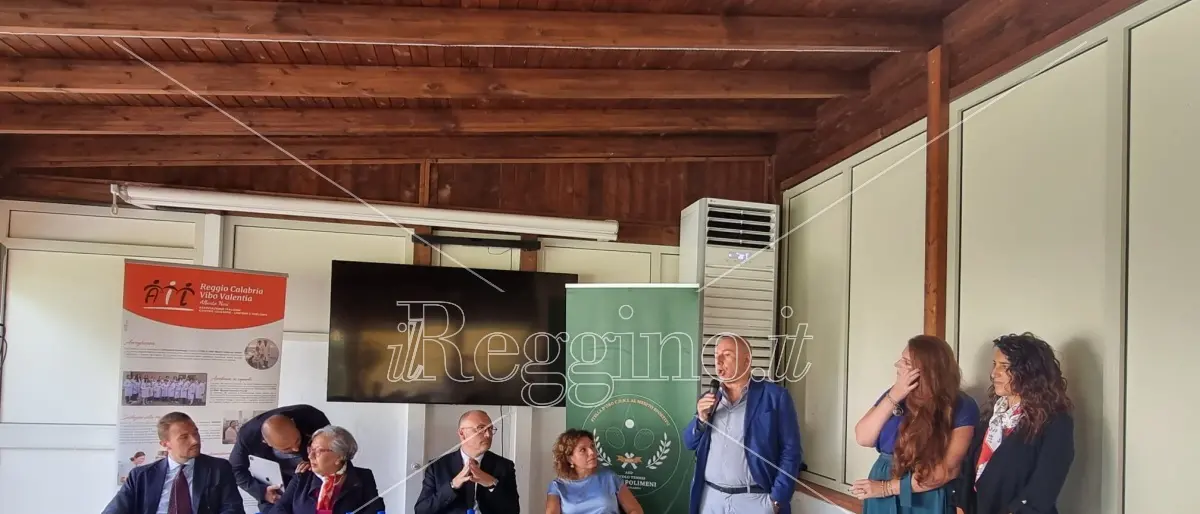 Centro Trapianti a Reggio, Martino: «Siamo un'eccellenza, ma ora occorre fare ricerca»