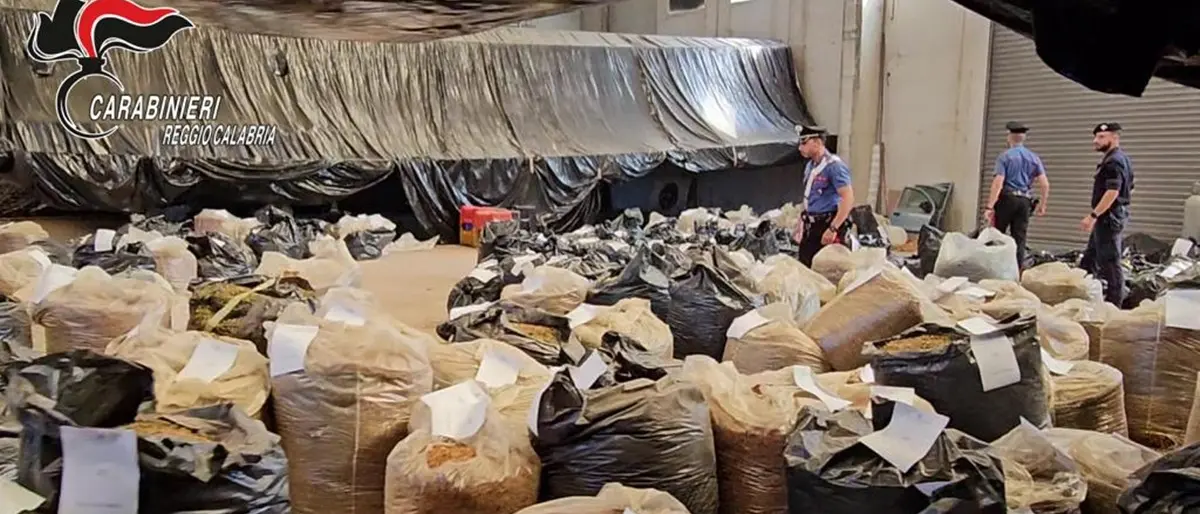 San Ferdinando, tre tonnellate di cannabis sequestrate da carabinieri nella zona industriale del porto - FOTO e VIDEO