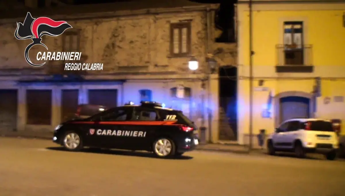 Operazione “Smart delivery” nella Piana di Gioia: 11 misure cautelari per spaccio - VIDEO