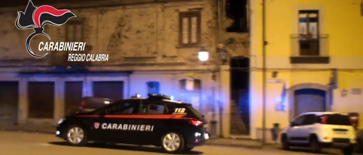 Operazione “Smart delivery” nella Piana di Gioia: 11 misure cautelari per spaccio - VIDEO