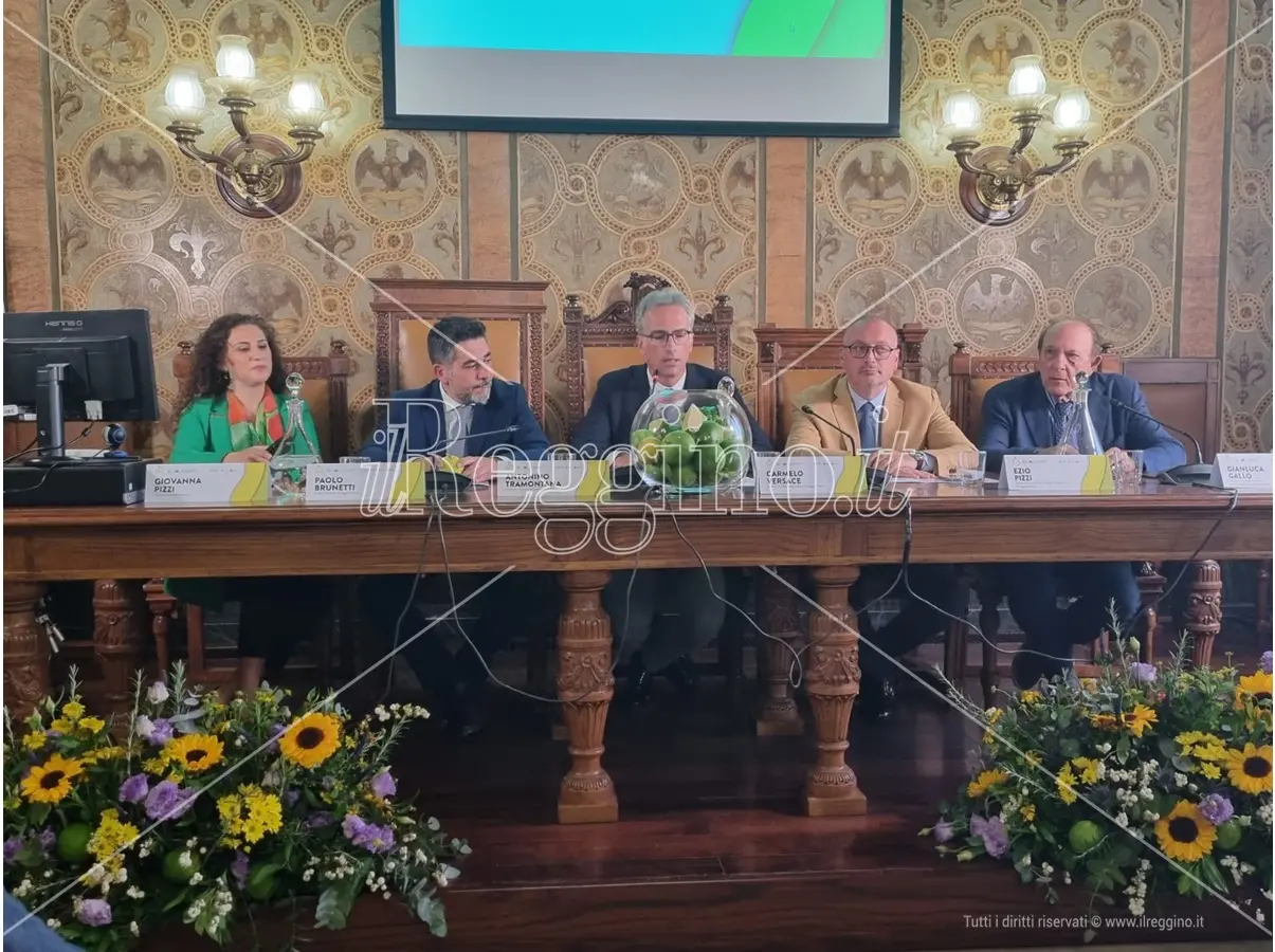 Bergarè a Reggio: seconda edizione dell'evento per raccontare il re degli agrumi - VIDEO