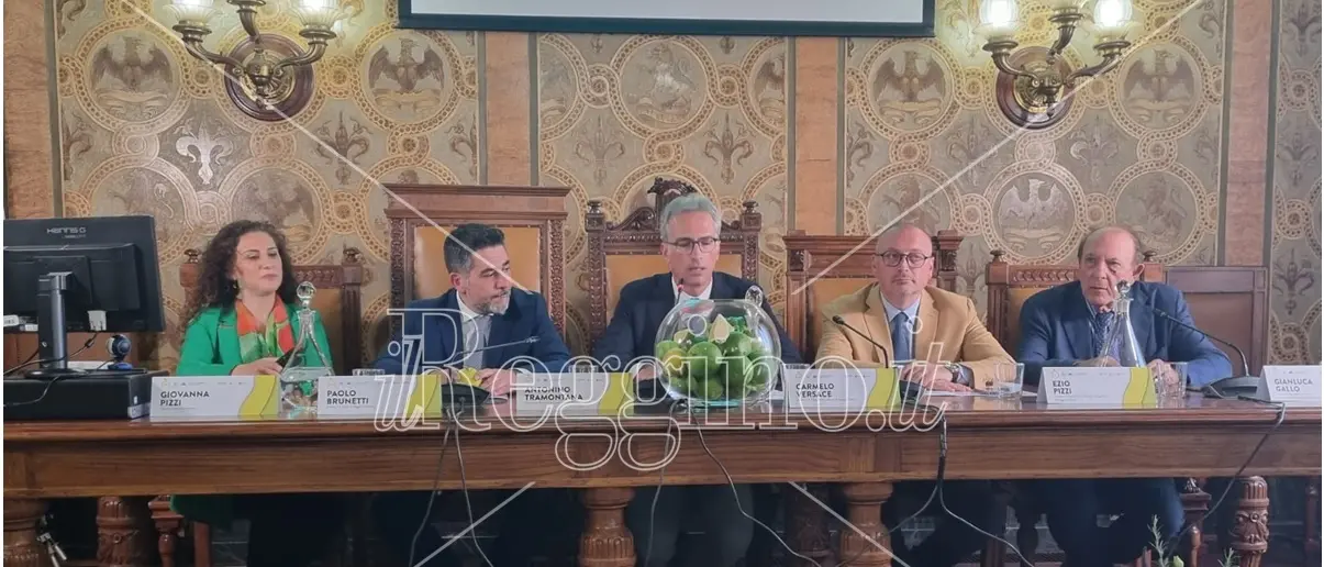 Bergarè a Reggio: seconda edizione dell'evento per raccontare il re degli agrumi - VIDEO