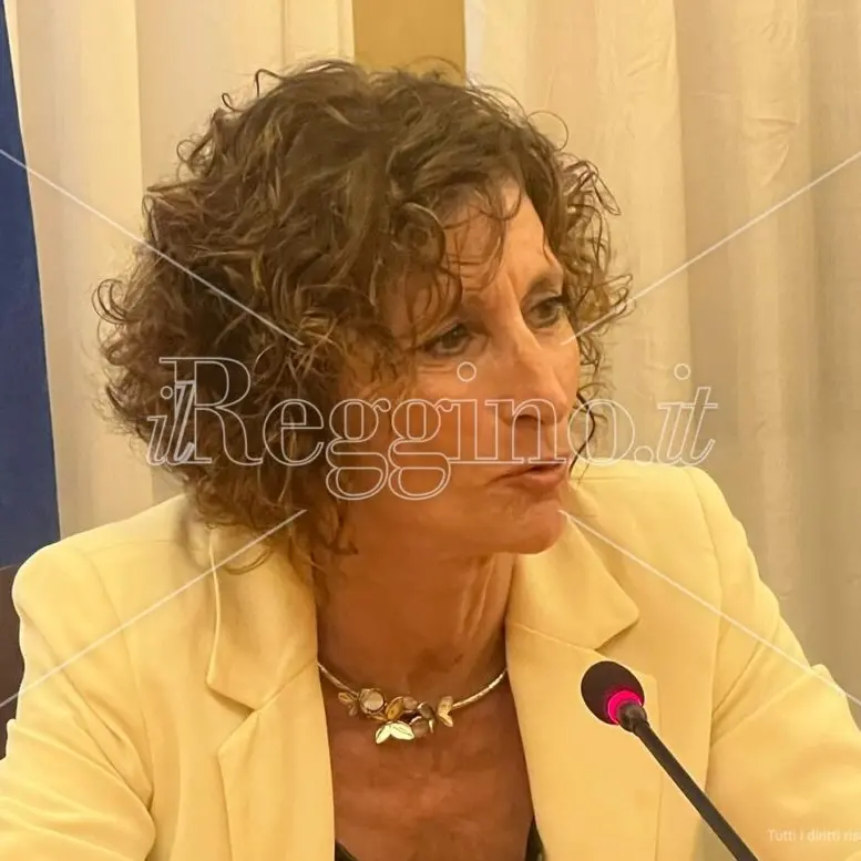 “Millennium”, Vaccaro: «Lo Stato c’è, colpo deciso alla criminalità organizzata»