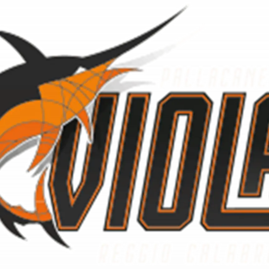 Basket Viola Reggio Calabria domenica a Monterosso calabro per un torneo quadrangolare