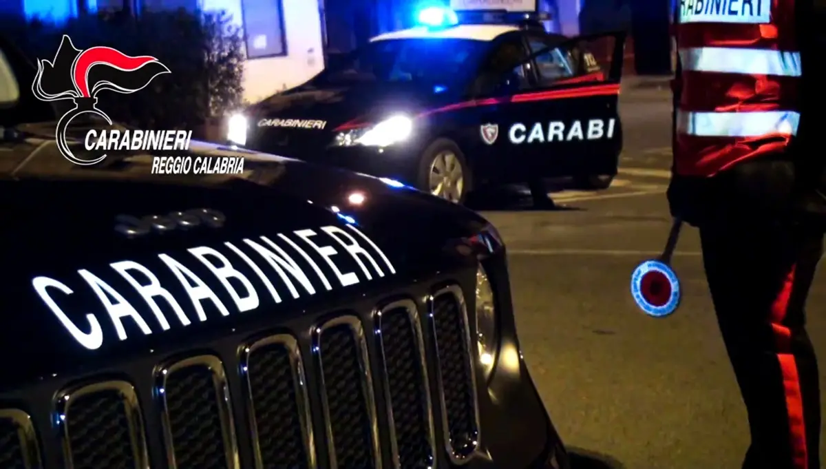 'Ndrangheta, blitz in Calabria con 31 arresti per traffico di rifiuti, droga ed estorsioni