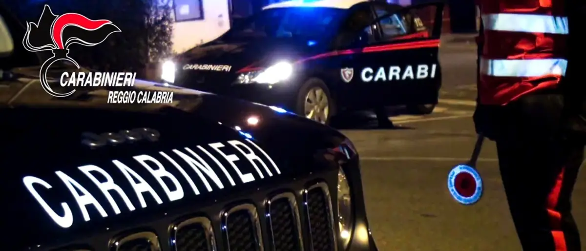 'Ndrangheta, blitz in Calabria con 31 arresti per traffico di rifiuti, droga ed estorsioni