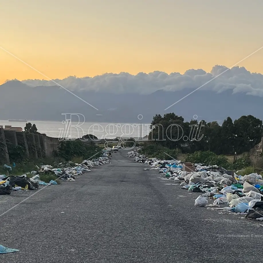Reggio, a Mortara il viale del tramonto e dei rifiuti - FOTO