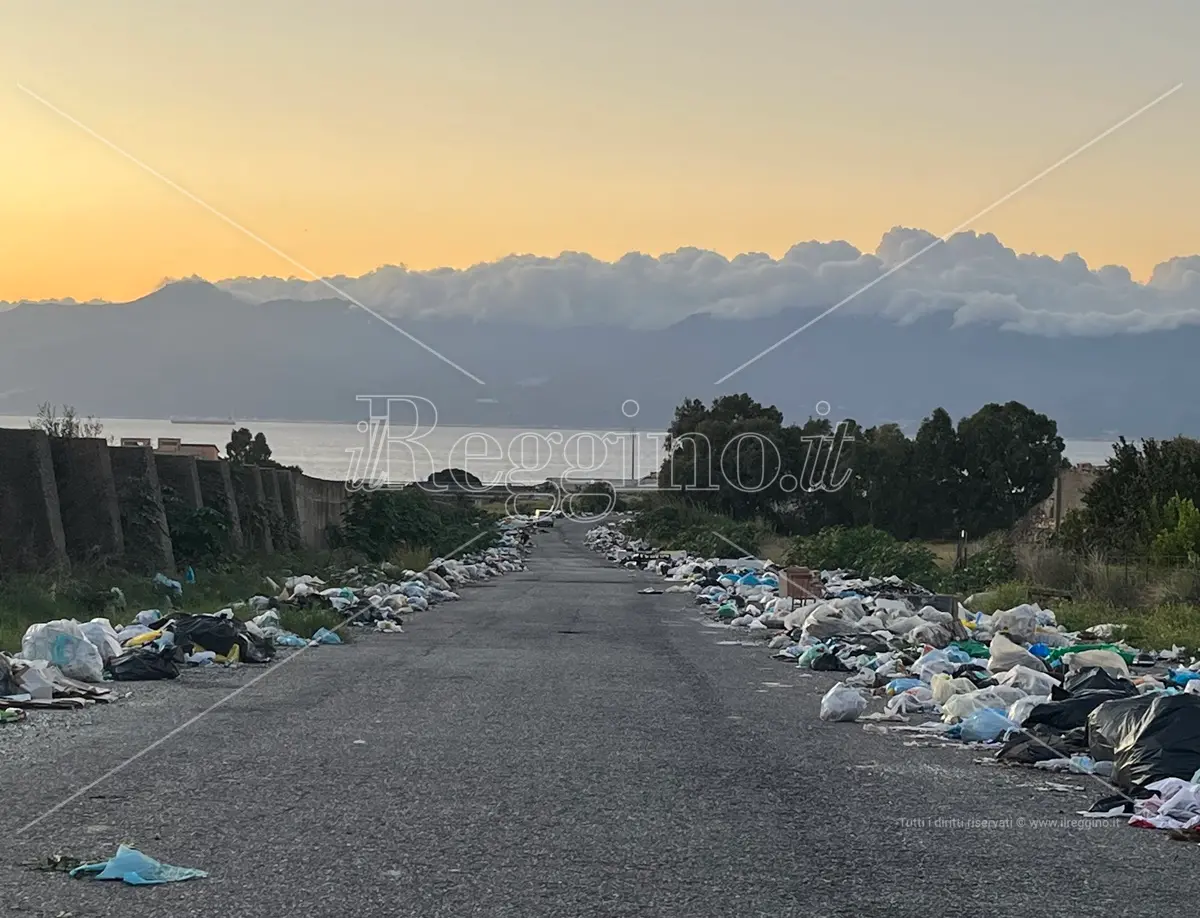 Reggio, a Mortara il viale del tramonto e dei rifiuti - FOTO