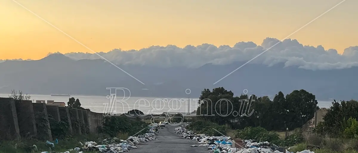 Reggio, a Mortara il viale del tramonto e dei rifiuti - FOTO