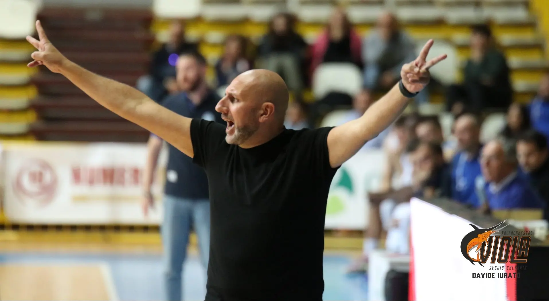 Basket: Mestre affonda la Viola, tutto facile per i veneti, finisce 97-69