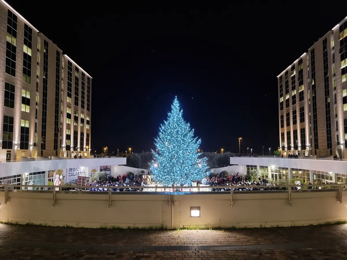Regione, acceso l'albero davanti alla Cittadella