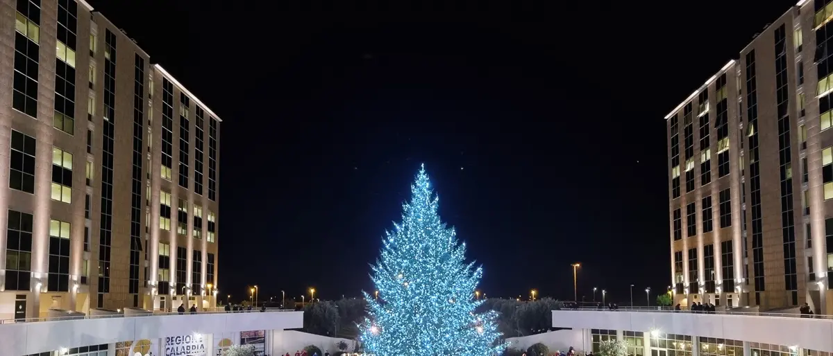 Regione, acceso l'albero davanti alla Cittadella