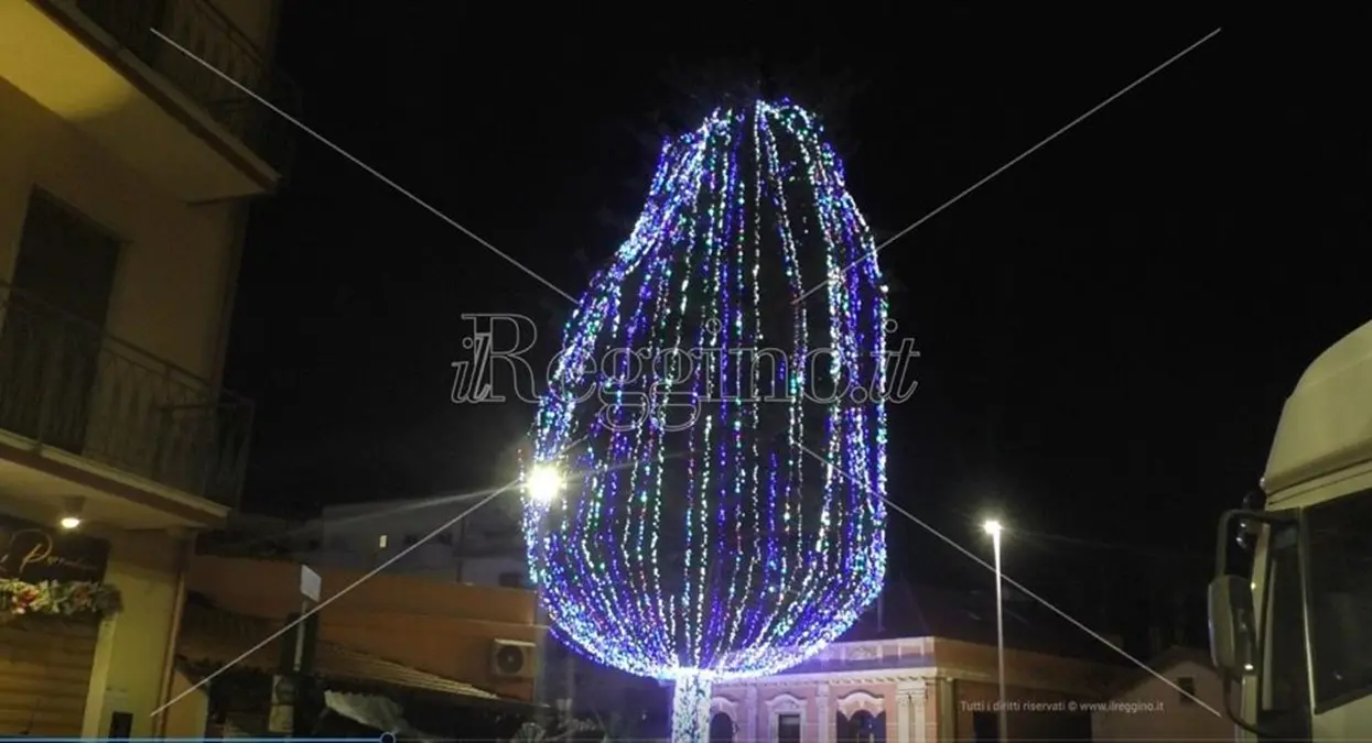Reggio, a Pellaro l’incanto di un pino secolare illuminato accende il Natale - FOTO E VIDEO