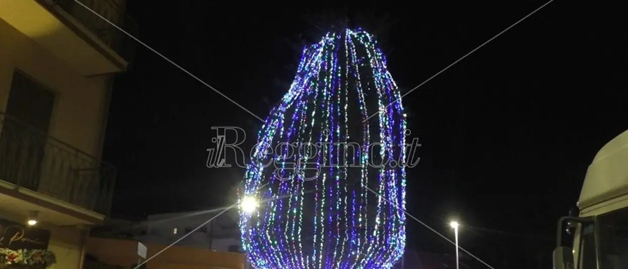 Reggio, a Pellaro l’incanto di un pino secolare illuminato accende il Natale - FOTO E VIDEO