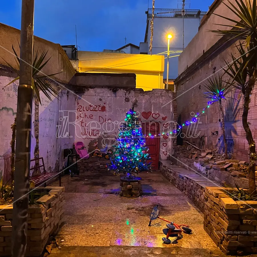 Rione G a Reggio, dopo la pulizia i residenti accendono un albero di Natale in una baracca