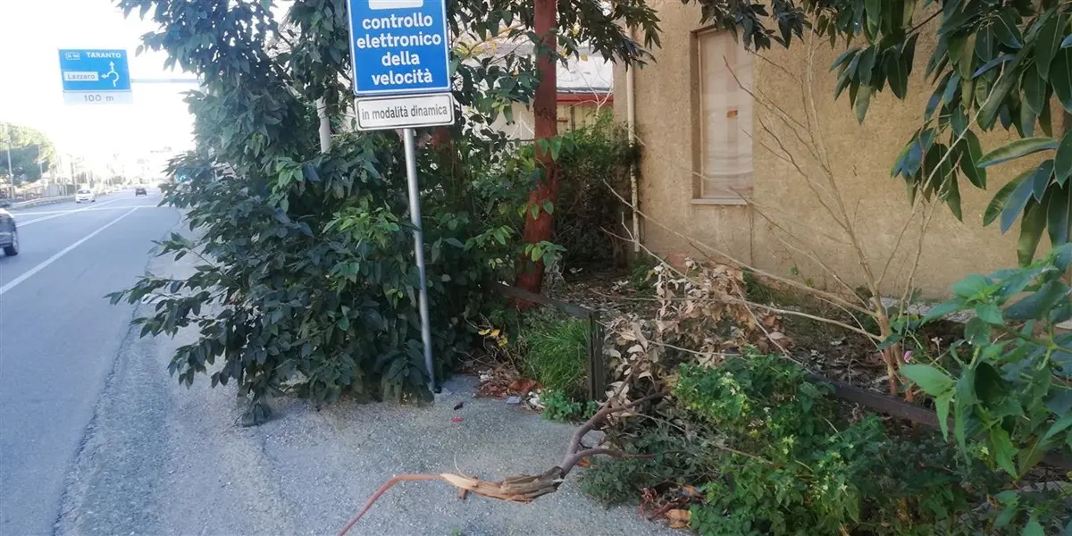 Lazzaro, Ancadic segnala alberi pericolanti sulla ss 106