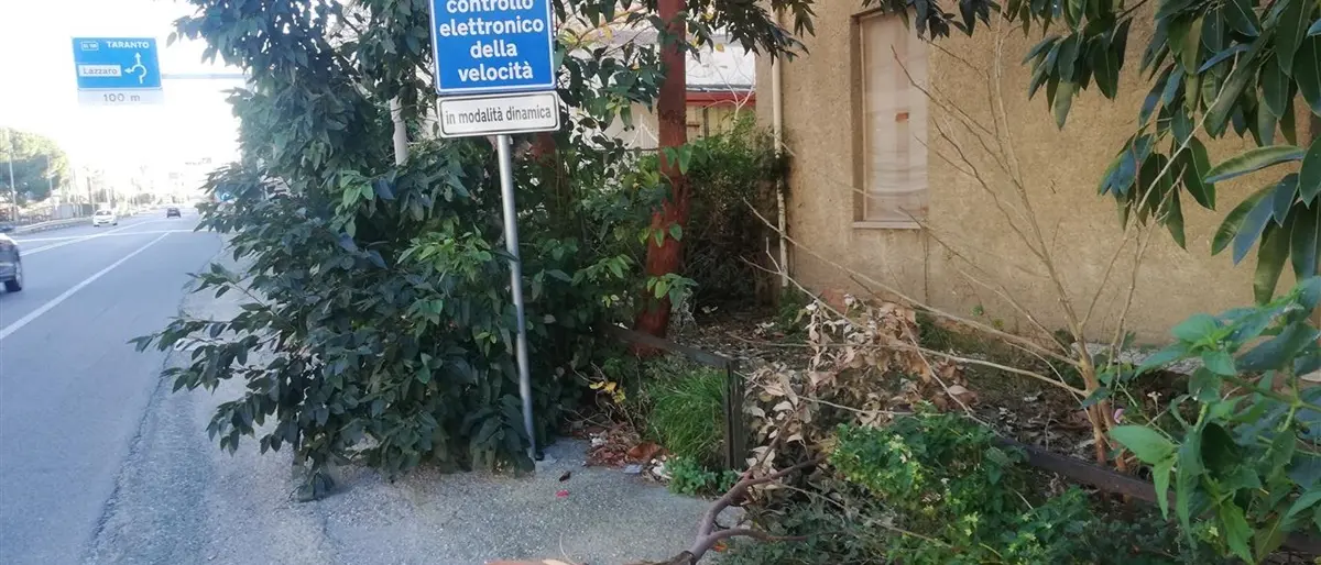 Lazzaro, Ancadic segnala alberi pericolanti sulla ss 106