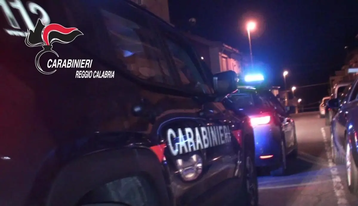 Produzione e traffico di droga nel reggino: due arresti e una denuncia
