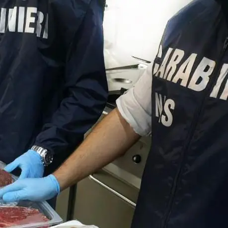 Reggio, disabili mentali ricoverati in casa di cura abusiva: sequestro dei Nas