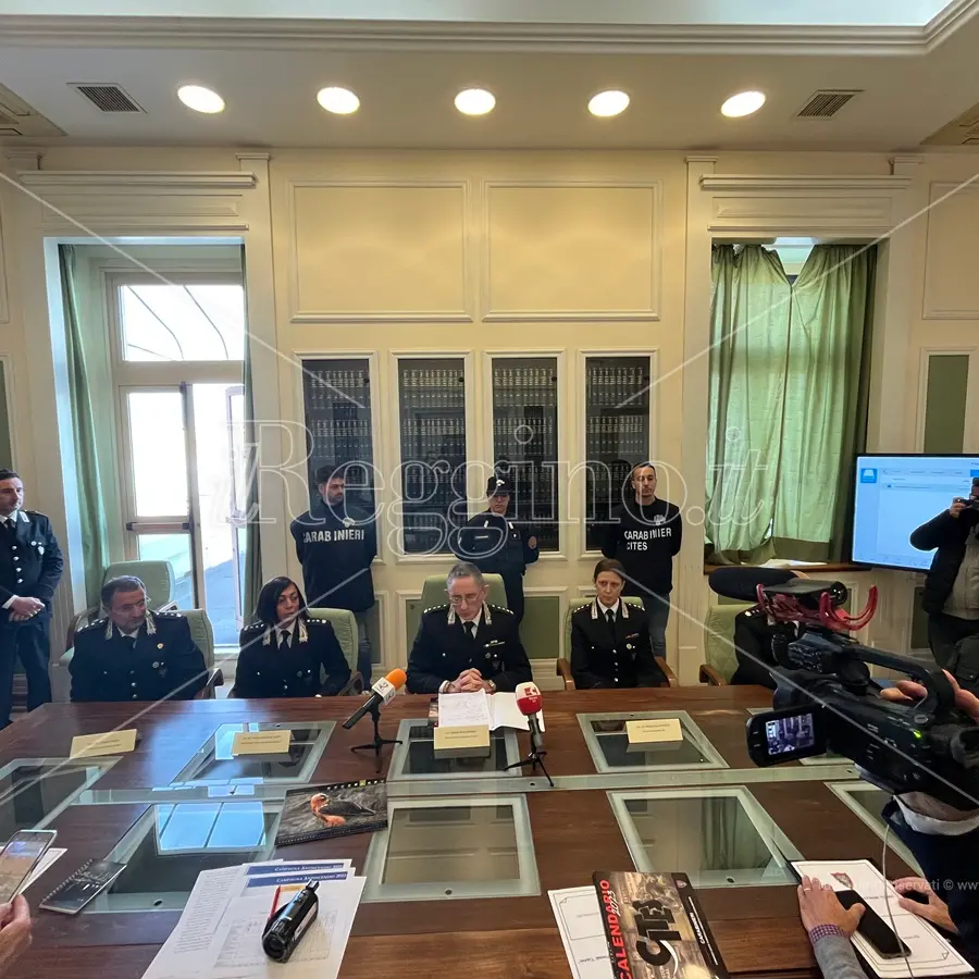 Il bilancio 2022 dei Carabinieri Forestali: nel reggino incendi diminuiti del 41% rispetto al 2021 - VIDEO